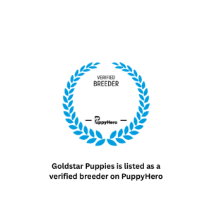 Goldstar Puppies is listed as a verified breeder on PuppyHero